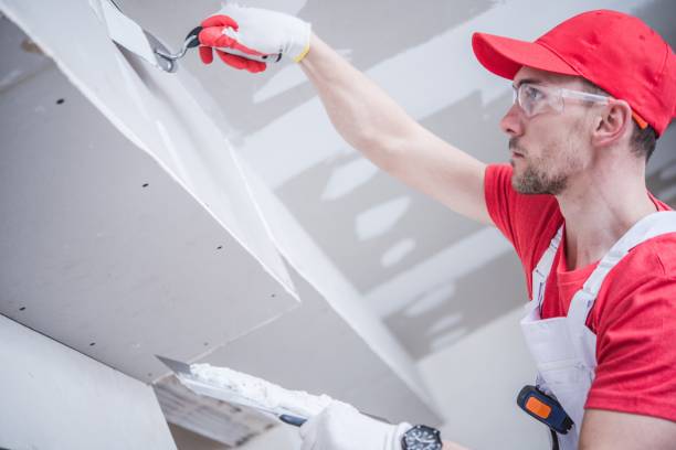 Best Drywall Installation  in Boynton Beach, FL